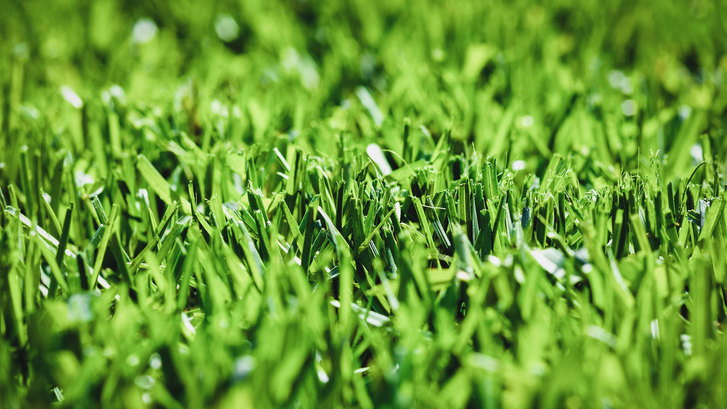 Artificial Grass 60mm